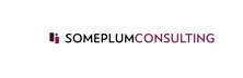 Someplum Consulting