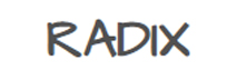 Radix Consulting