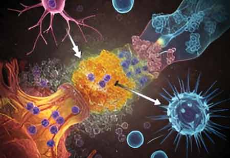 APAC's Path To Progress: Addressing Barriers In Regenerative Medicine
